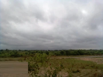 Farm & Agricultural Land