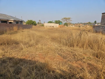 Stands & Residential Land