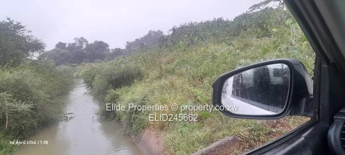 Prime 56-Hectare Farm for Sale in Chipangayi (Near Chipinge)