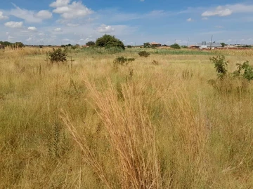 Stands & Residential Land