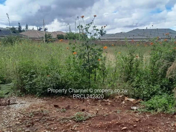 Serviced Upmarket Stand – Walled 2 Sides