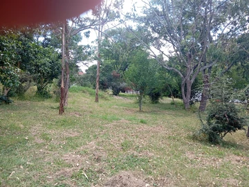 Land