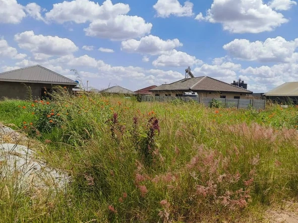 Stands & Residential Land