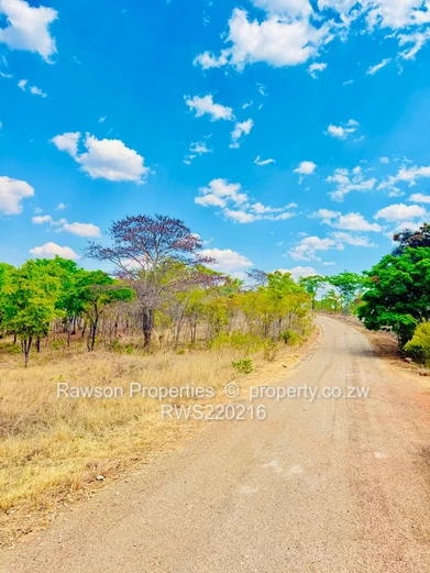 Carrick creagh residential stand for sale (Sole Mandate)