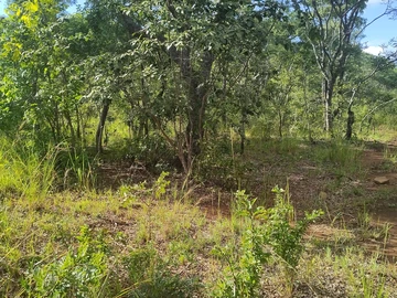 Farm & Agricultural Land