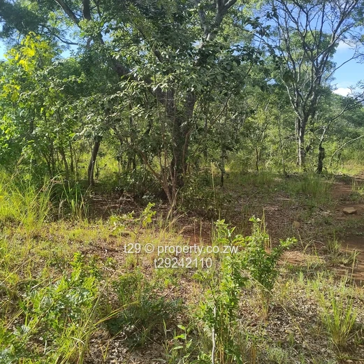 Norton chegutu selous plots for sale