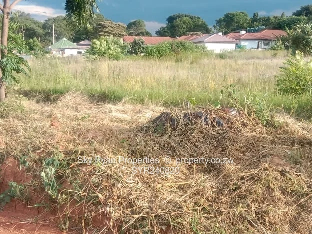 Borrowdale Quinnington Subdivision Stands For Sale