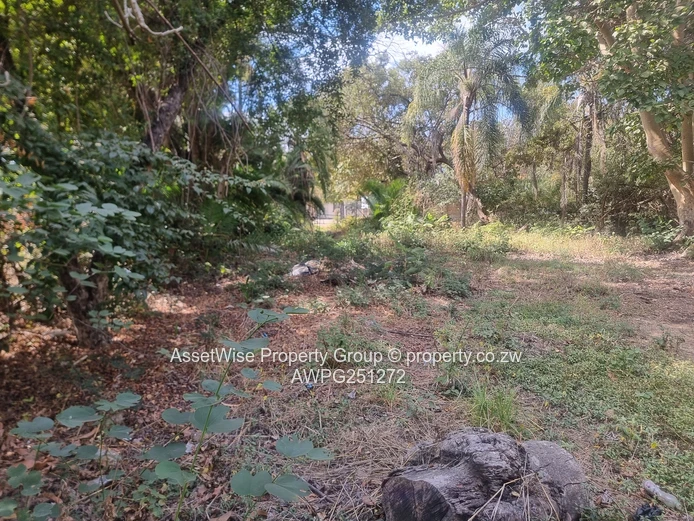 2100m² Tree-lined Commercial Plot in Avondale — Services