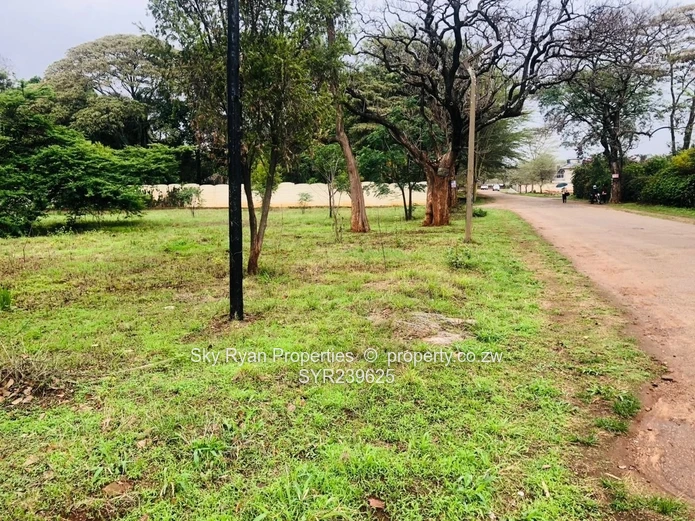 Strathaven Stand For Sale