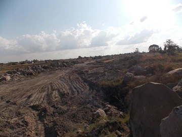 Stands & Residential Land