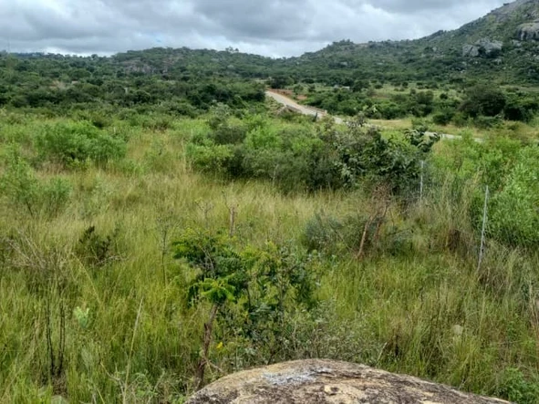Commercial & Industrial Land