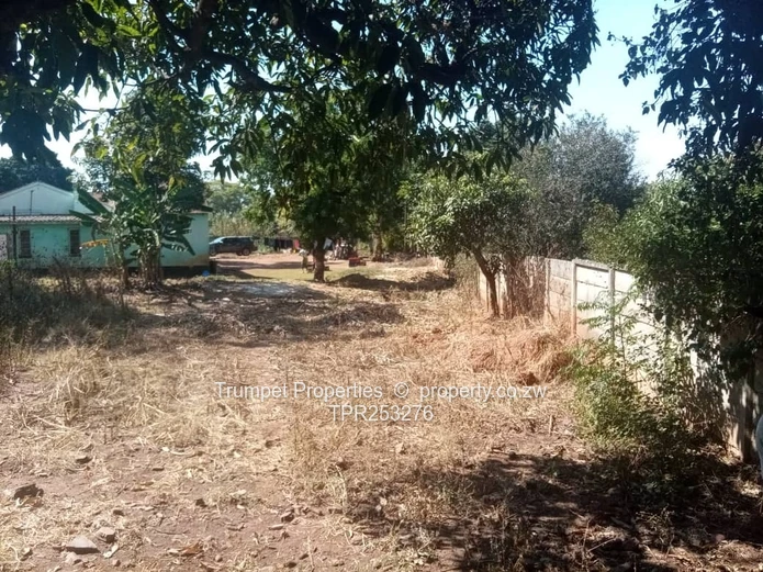 Westwood: 3-Bed Home on 4500m² with Green Cottage