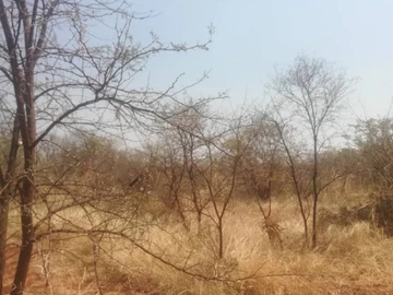 Farm & Agricultural Land