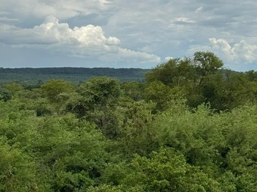 Commercial & Industrial Land