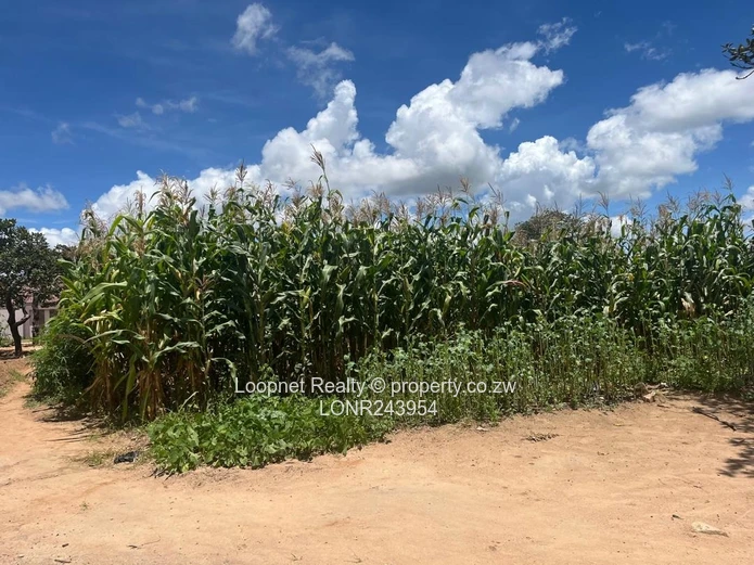 Crowhill Views 1000m² Stand