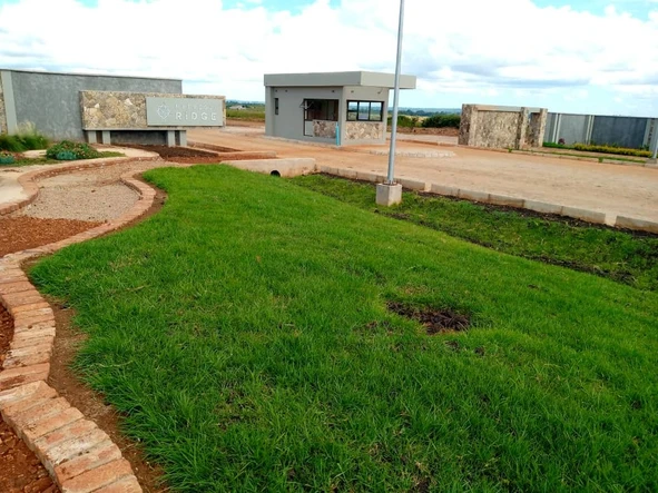 Stands & Residential Land