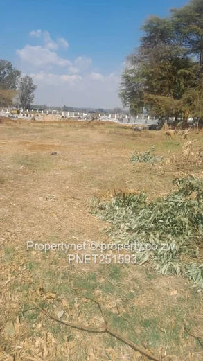 Ready To Built Next To Nyeredzi Tall Trees