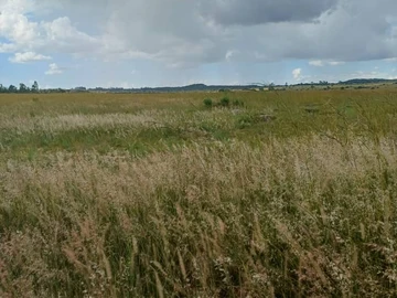 100 Ha Farm For Sale