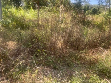 Farm & Agricultural Land