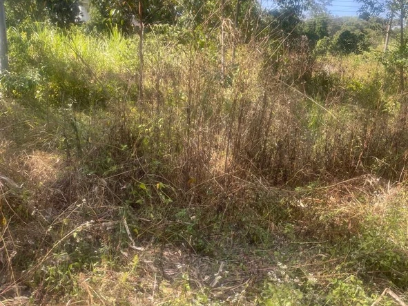 Farm & Agricultural Land