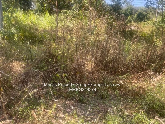 52,000m² Mutoko Farm —  Arable & Grazing