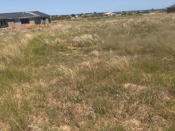 Stands & Residential Land