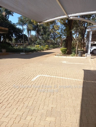 Mt pleasant  Duplex Town houses for sale