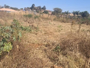 Stands & Residential Land