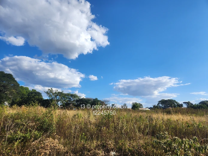 Spacious Erasmus Park Residential Stand (Sole Mandate)