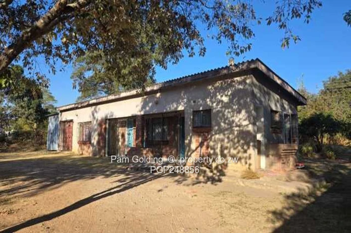 Treed 2800m² Prospect Stand — Subdivision Potential (Sole Mandate)