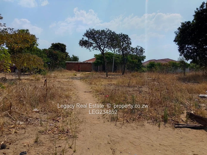 Crowhill 1300sqm Stand – Affordable Deal with Full Paperwork!