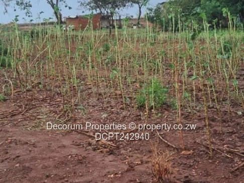 Prime 1011 m² Residential Stand for Sale in Tynwald South