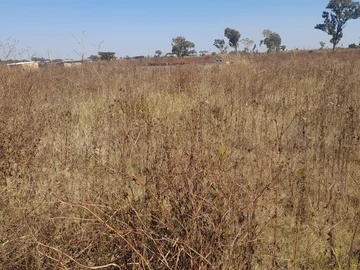 Stands & Residential Land
