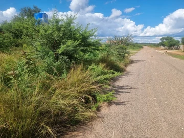 Stands & Residential Land