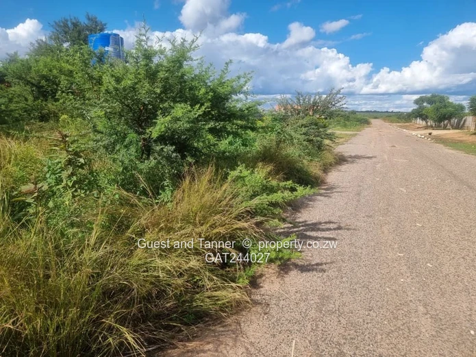 4000m² Willsgrove Stand — Spacious, Green & Ready