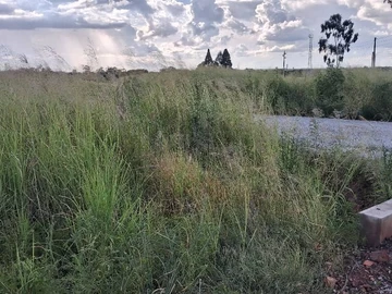 Stands & Residential Land