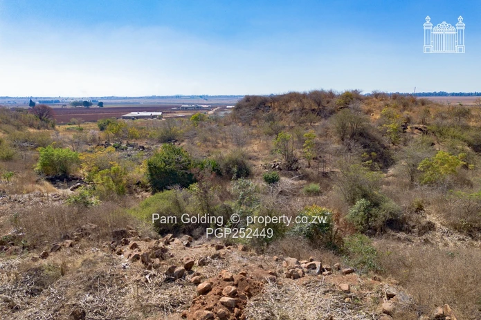 prime development land in Marlborough (Sole Mandate)
