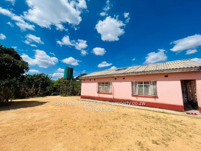 Crowhill Stand For Sale