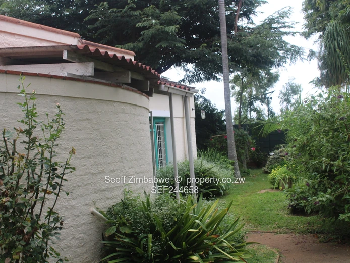 Dandaro Flat For Rent