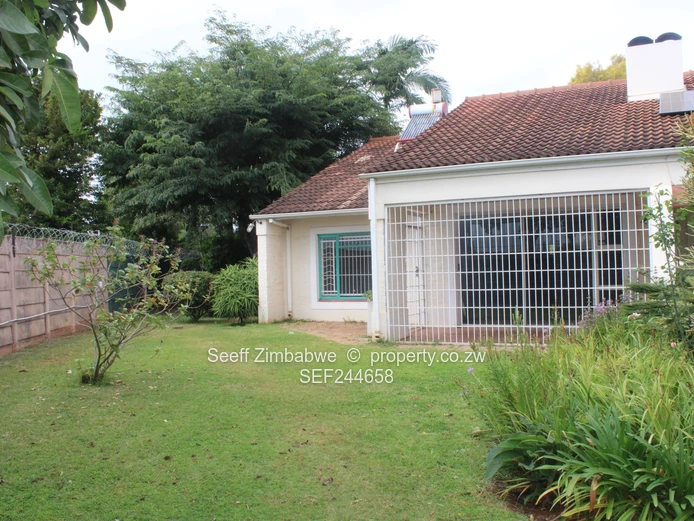 Dandaro Flat For Rent