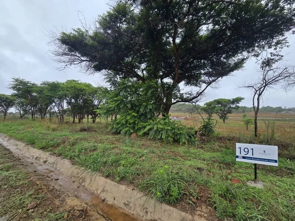 Stands & Residential Land