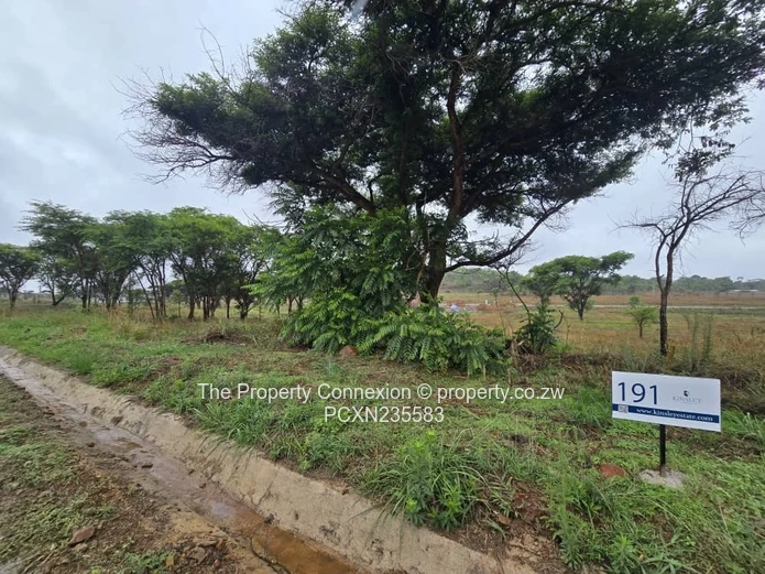 |The Ultimate Lifestyle Stand: Space, Security, Status|