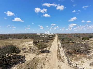 Farm & Agricultural Land
