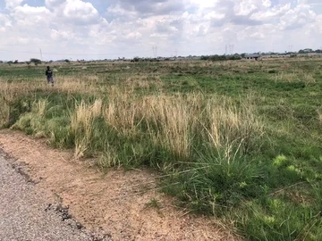 Stands & Residential Land