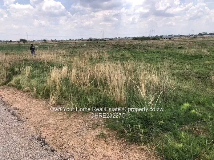 Huntersville Stand For Sale