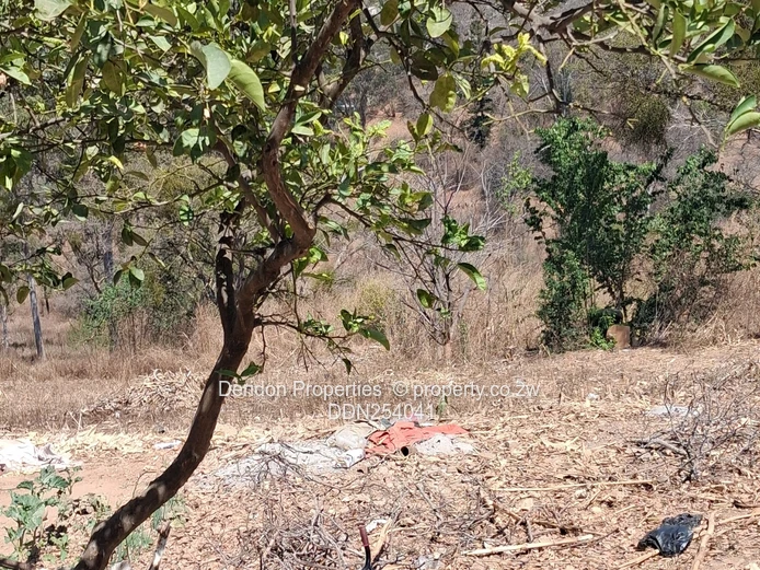 Prime 13,500m² Residential Land in Helensvale, Harare