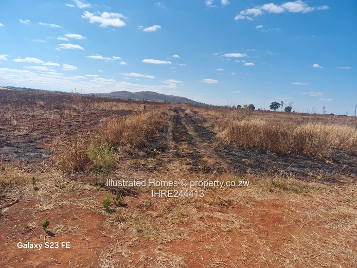 Chance to develop an Estate