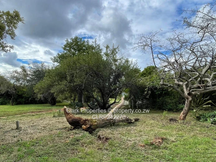 Exceptional Land Opportunity: Three Adjacent Plots (Sole Mandate)