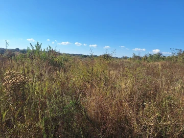Commercial & Industrial Land