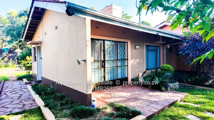 Borrowdale bedsitter for rent